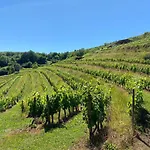 Prázdninový dům Le Des Aubeles Saint-Félix-de-Lunel