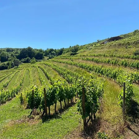 بيت للعطل Le Des Aubeles Saint-Félix-de-Lunel