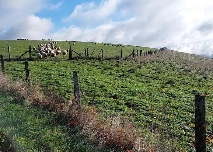 Hébergement de vacances Le Des Aubèles *